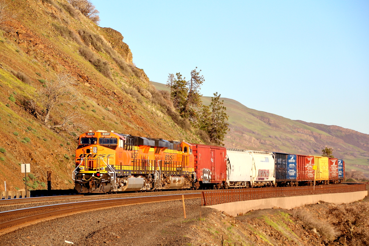 BNSF 8207 is a class GE ES44C4 and  is pictured in Lyle, Washington, USA.  This was taken along the Fallbridge/BNSF on the BNSF Railway. Photo Copyright: Rick Doughty uploaded to Railroad Gallery on 03/23/2024. This photograph of BNSF 8207 was taken on Sunday, March 17, 2024. All Rights Reserved. 